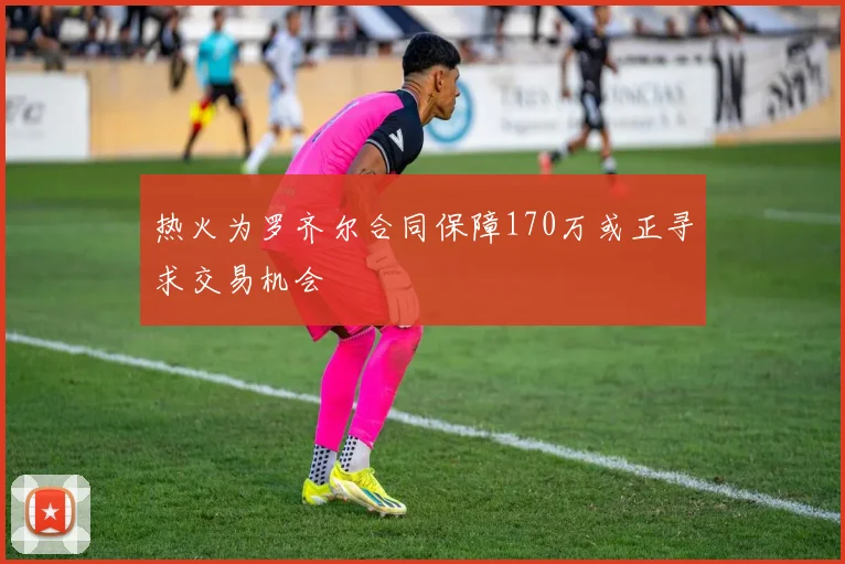 热火为罗齐尔合同保障170万或正寻求交易机会